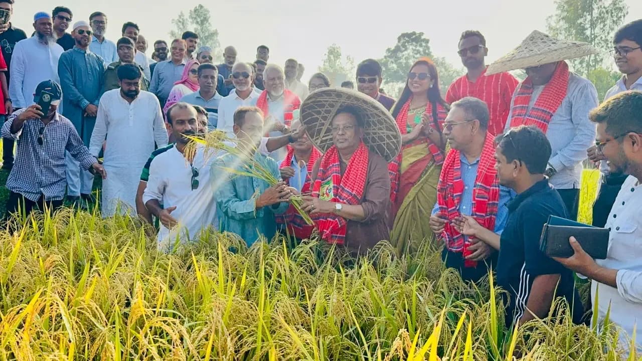 কৃষি খাতের উন্নয়নে সর্বোচ্চ গুরুত্ব দিচ্ছে বিএনপি সরকার: আইসিটি মন্ত্রী ফকির মাহবুব আনাম স্বপন